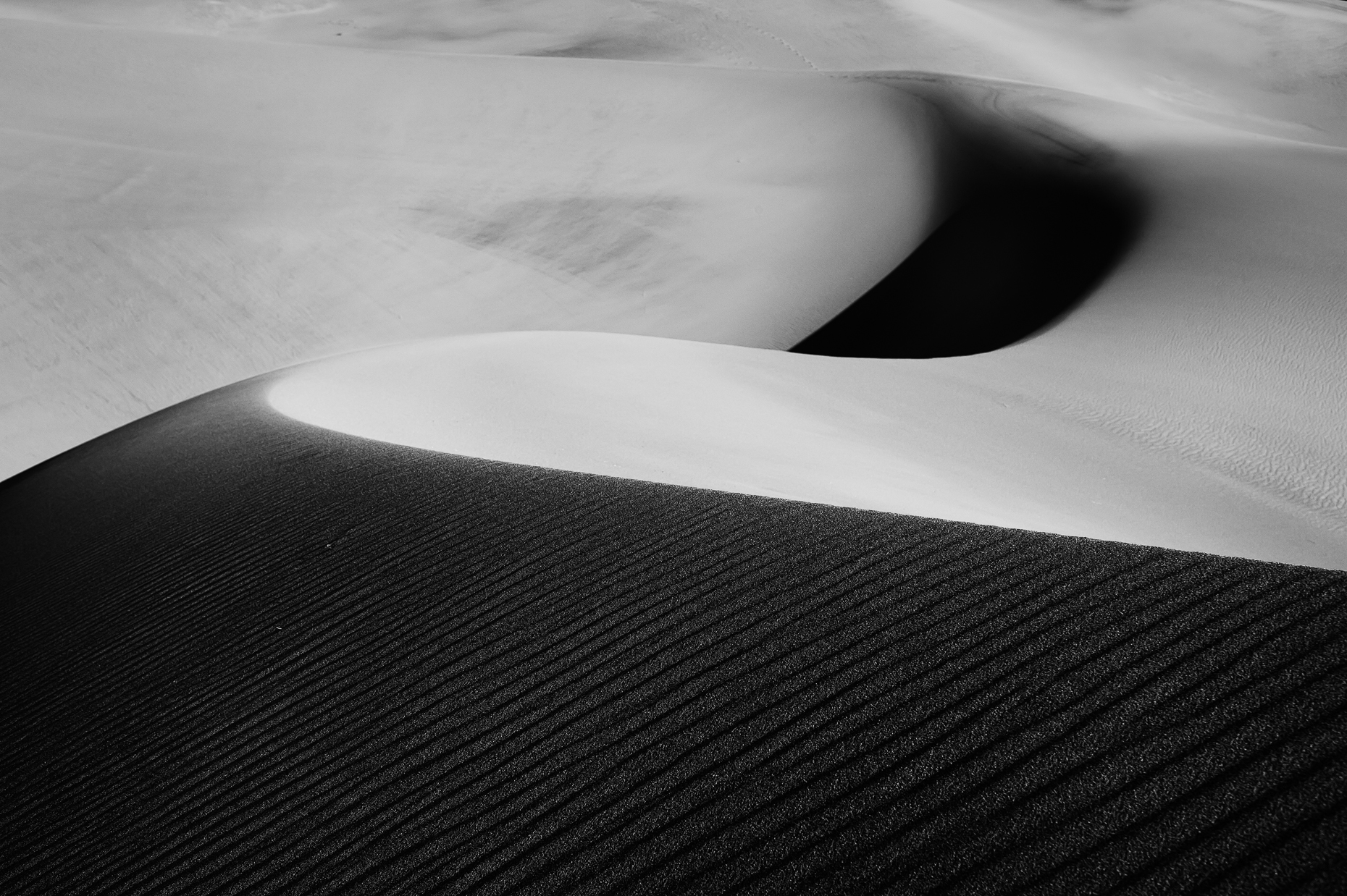 01-COSDNP-14