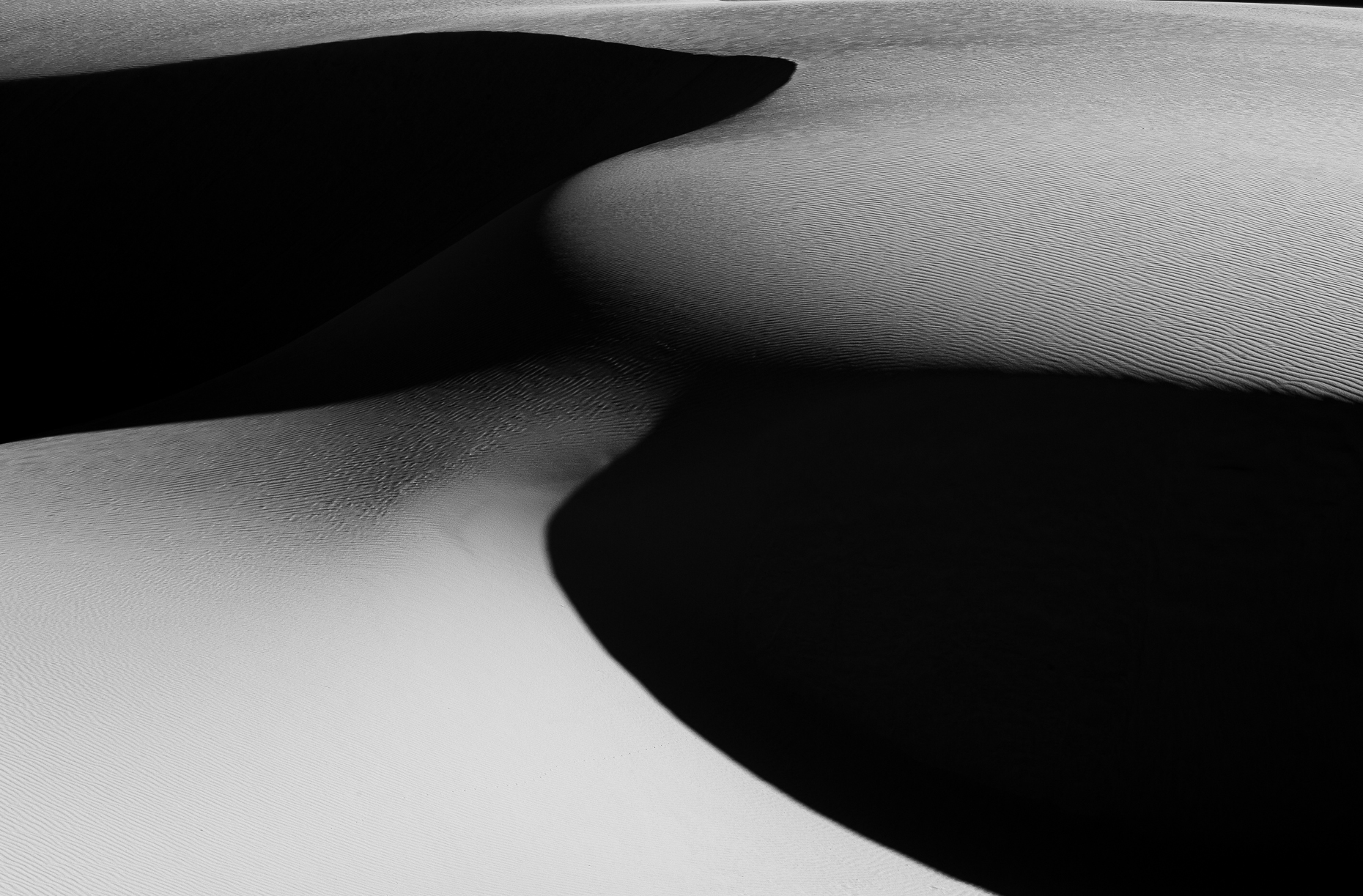 025-NMSDNP-43