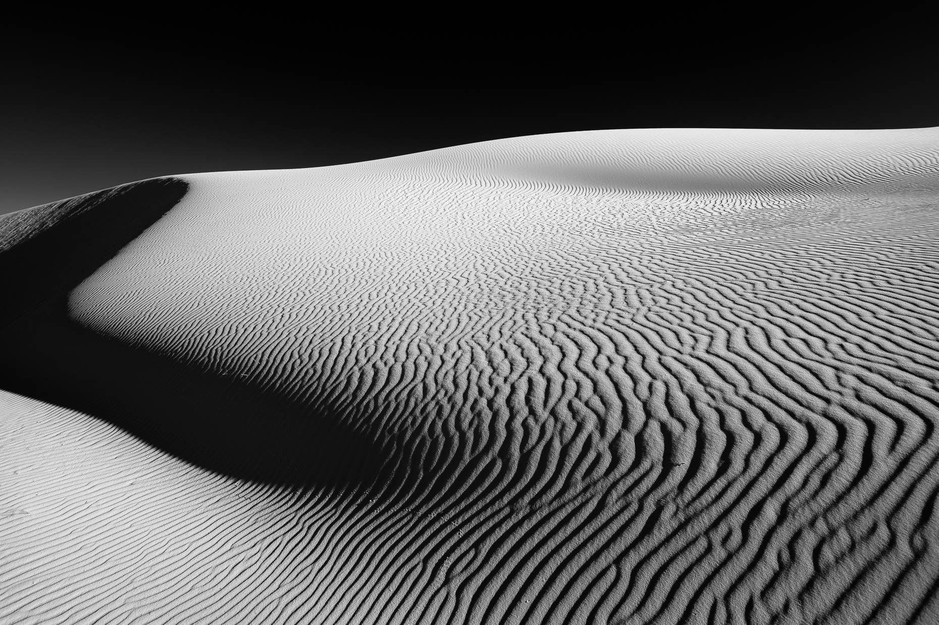 032-NMSDNP-11-2