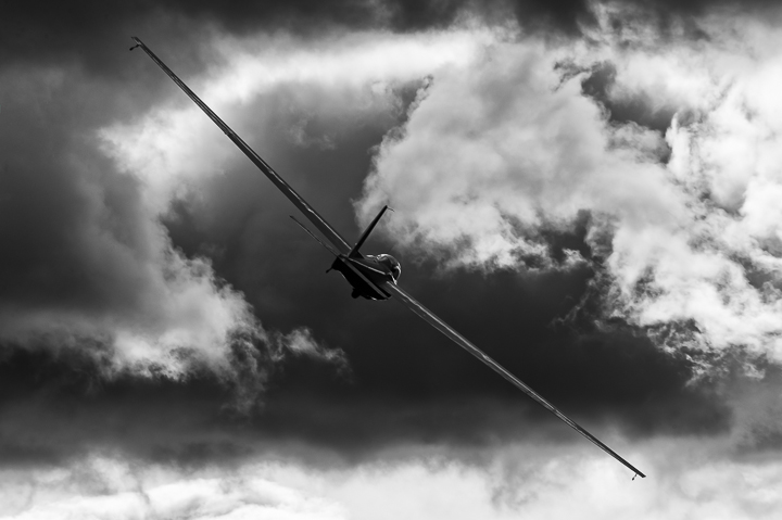 034-WDR-39110